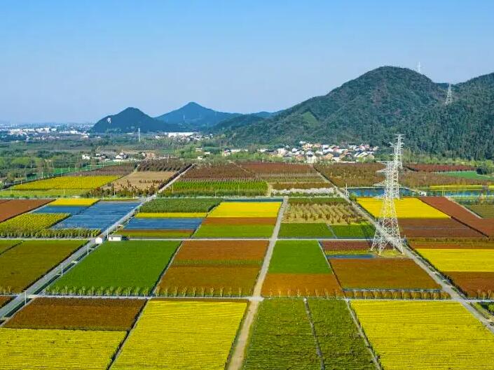 农业农业现代化示范区数字化建设指南