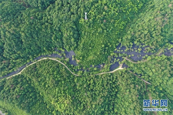 1128822504_16575311912591n.jpg