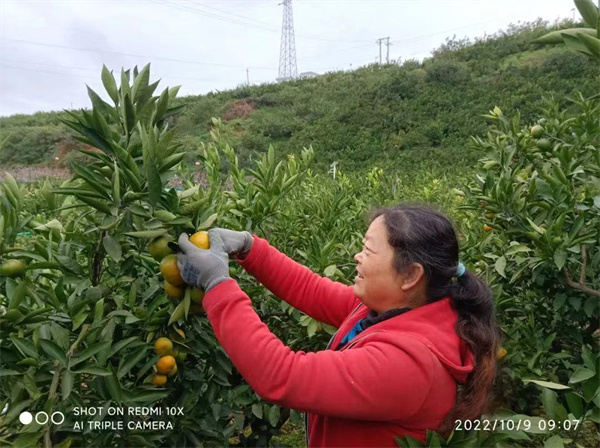 微信图片_20221014112313.jpg