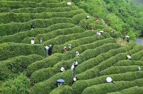 微信图片_20230706142218.jpg