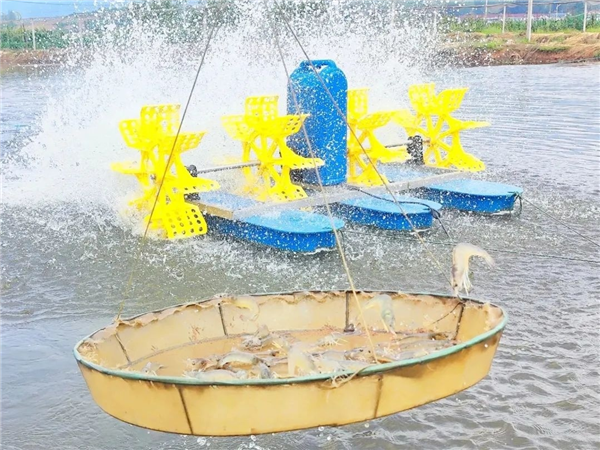 微信图片_20230818104558.png